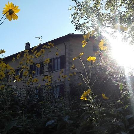 塞斯托拉Fattoria La Guedrara住宿加早餐旅馆 外观 照片