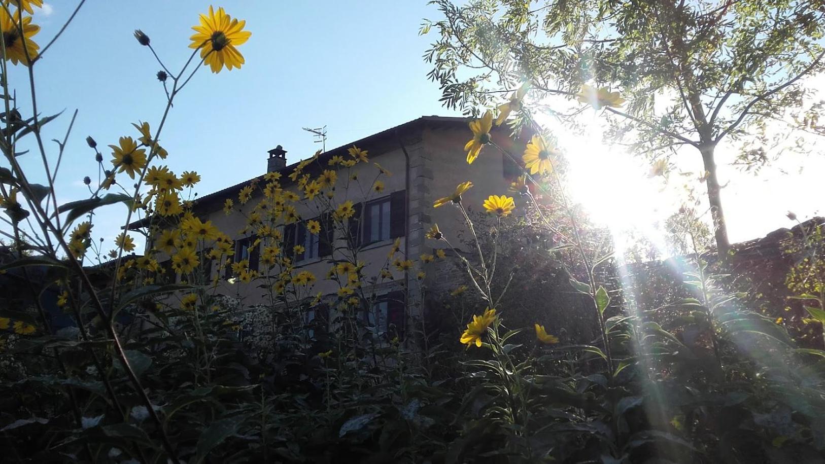 塞斯托拉Fattoria La Guedrara住宿加早餐旅馆 外观 照片