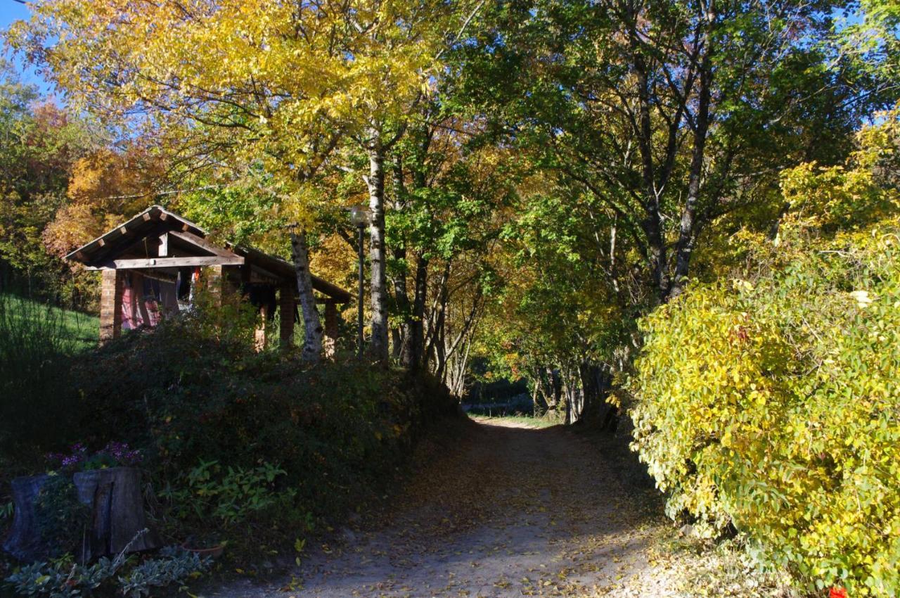 塞斯托拉Fattoria La Guedrara住宿加早餐旅馆 外观 照片